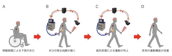 �L���v�V����