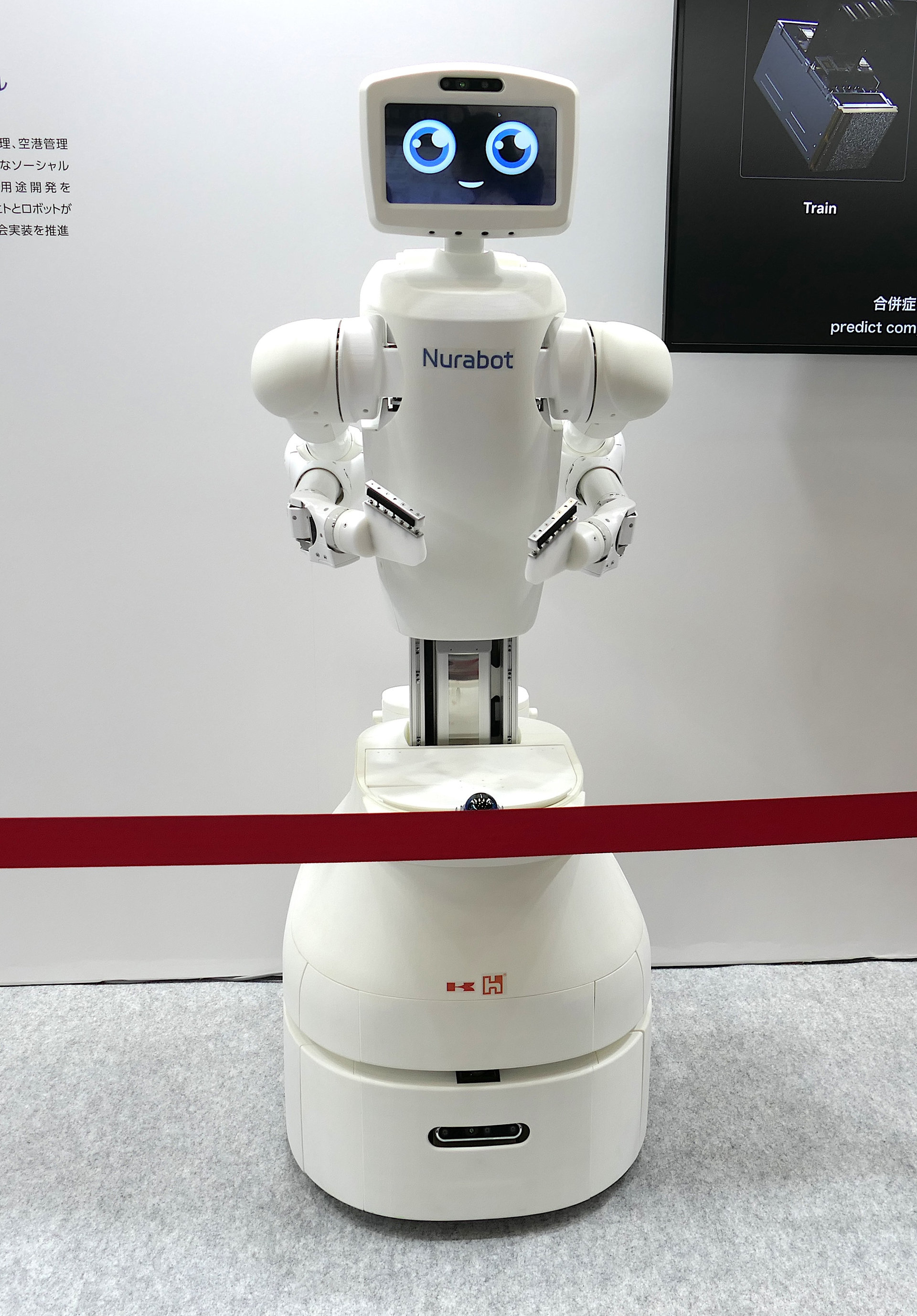 世界平和ロボット なぜフィジカルAIの象徴がヒューマノイドなのか＠2025国際ロボット展