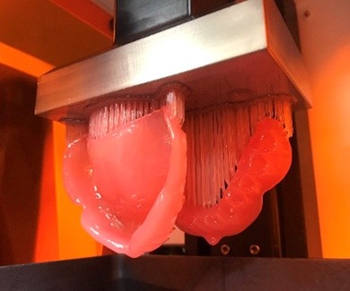 �L���v�V����