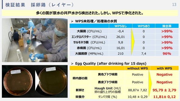  �̗��{�̌��،���