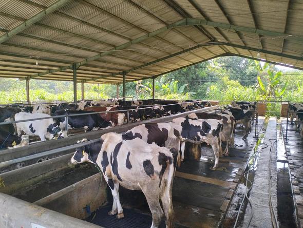  ���_�_�Ƃł̎���