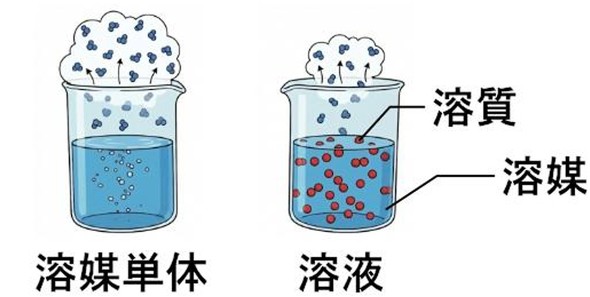 �}1 ���E�[���̖@���̃C���[�W