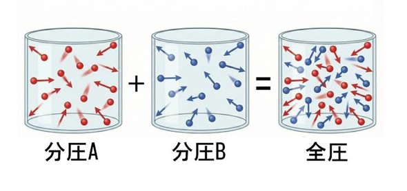 �}2 �h���g���̕����̖@���̃C���[�W