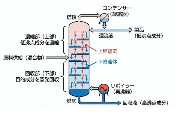 �}3 �������i�I�i���j�̍\���C���[�W