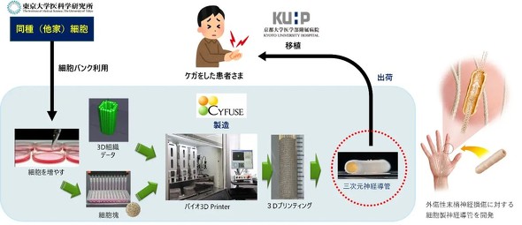 �����̗���