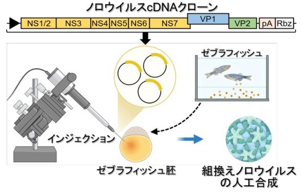 �L���v�V����