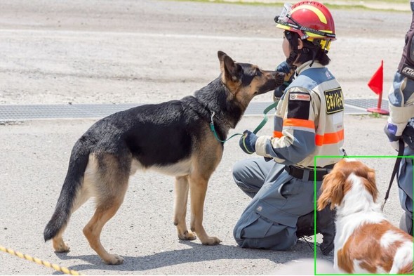 �L���v�V����