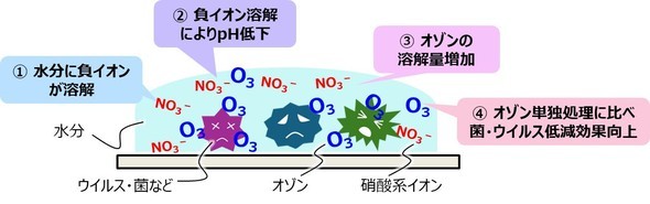 �L���v�V����