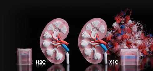 �uH2C�v�̏o�̓C���[�W�i2�j