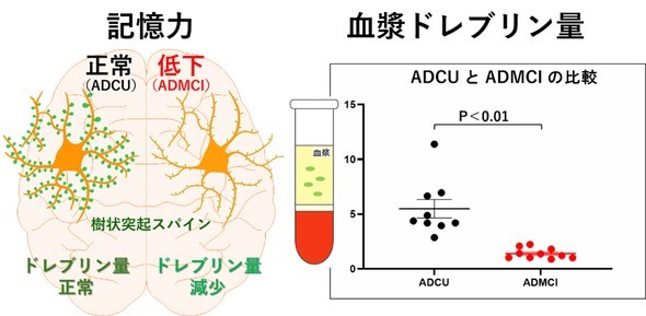 �L���v�V����