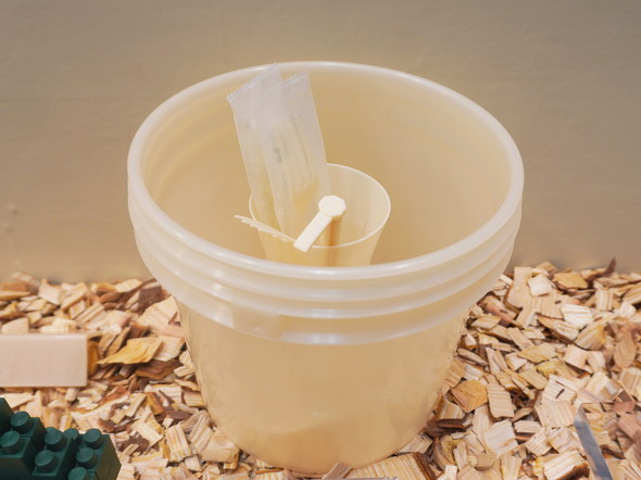 �u���\�C���O���[���v�̎ˏo���`�i