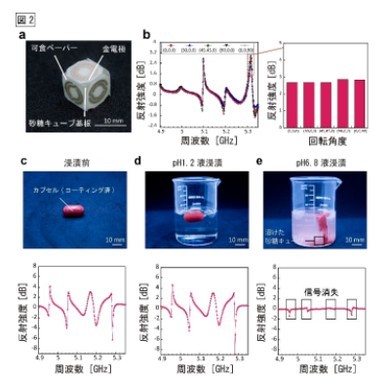 �L���v�V����