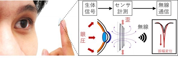 �L���v�V����