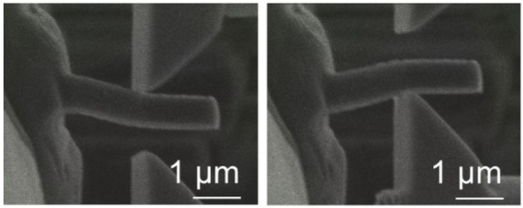 HOPG�̎��ȕ��������Ɋւ��鎎���̓d�q�������ώ@��