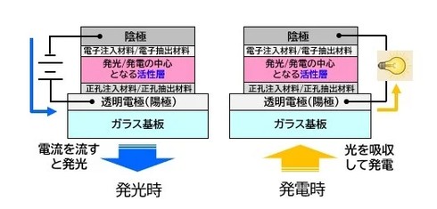 �L���v�V����