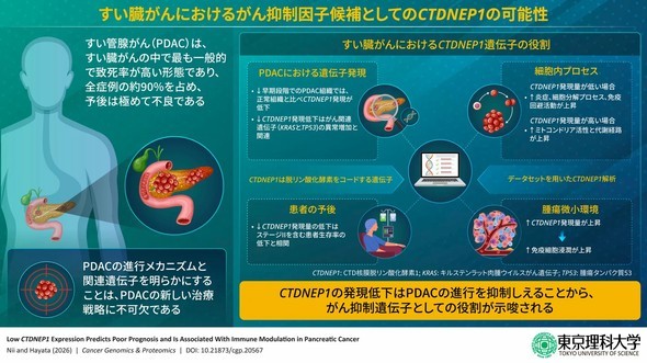 �L���v�V����