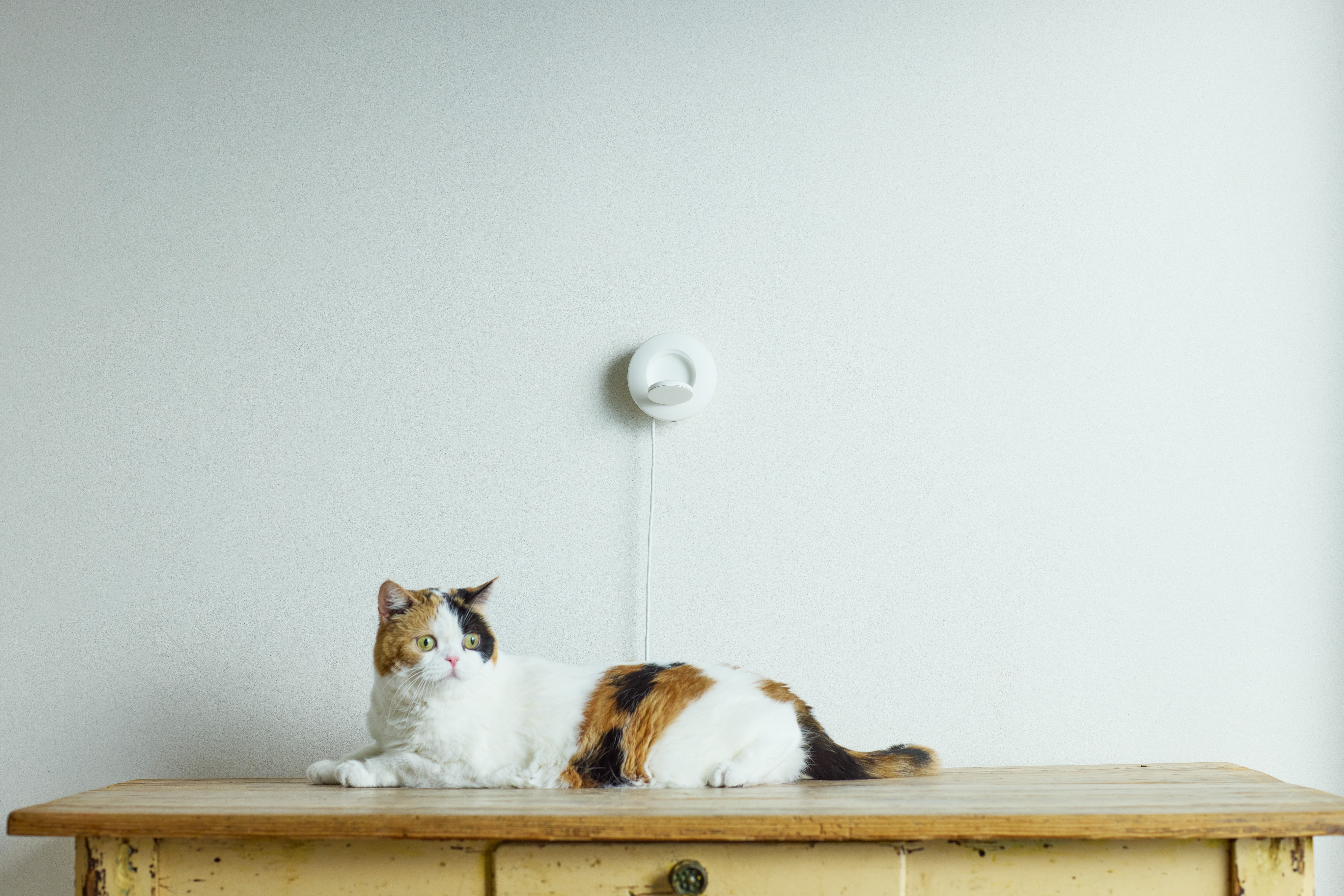 愛猫の不調を見逃さない、LIXILが非接触呼吸計測デバイスを開発
