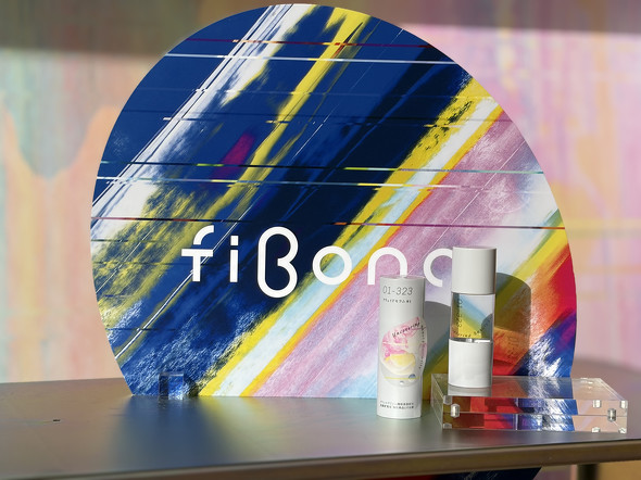 �������̐V���e�t�u�t�����C�h�Z�����v 