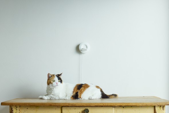 ��ڐG�^�ċz�v���f�o�C�X�uneamo�i�j�A���j�v