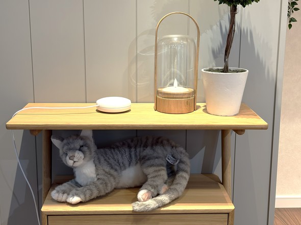 ���m�̑f�ނɂ���ẮA��Q���������Ă��v�����\