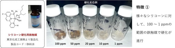 �w�e�����q���ܗL����V���R�[���ޗ��̍d������