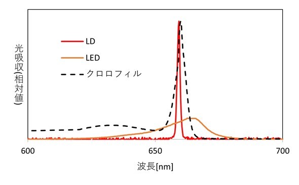 �L���v�V����