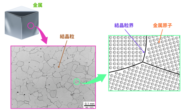 �}1�@�������̌����̃C���[�W�m�Q�l����1�n