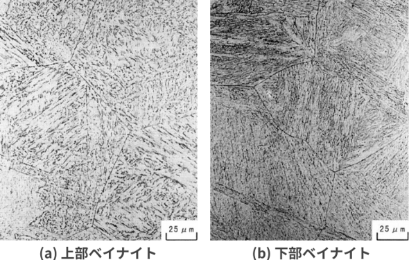 �}10�@�x�C�i�C�g�g�D�m�Q�l����6�n