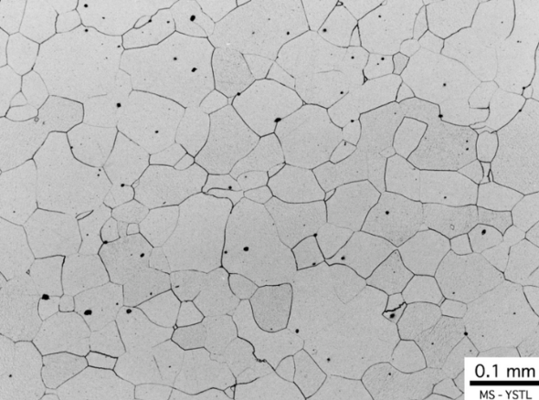 �}3�@���S�̑g�D�i�t�F���C�g�̌������ʐ^�j�m�Q�l����1�n