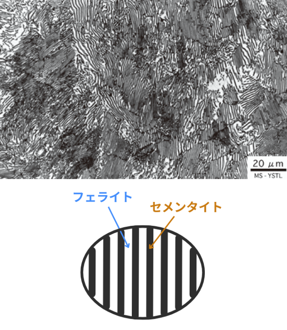 �}4�@�p�[���C�g�̌������ʐ^�i��j�Ɩ͎��}�i���j�m�Q�l����2�n�m�N���b�N�Ŋg��n