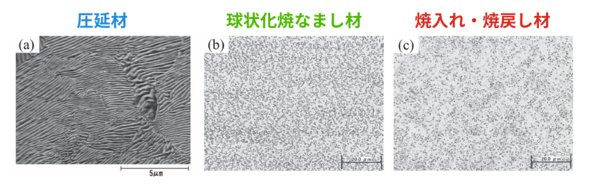 �}6�@SUJ2�̔M�����O��̑g�D�ʐ^�m�Q�l����4�n