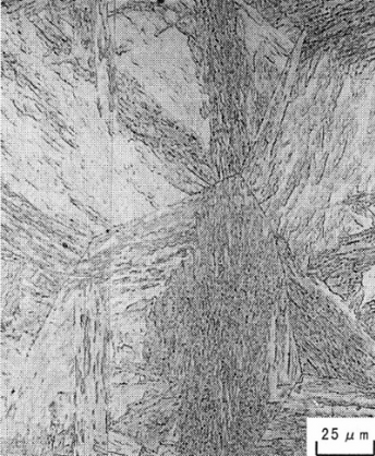 �}9�@�}���e���T�C�g�g�D�m�Q�l����6�n