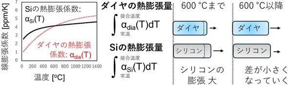 �L���v�V����