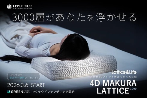 「4D MAKURA LATTICE3000」の商品イメージ