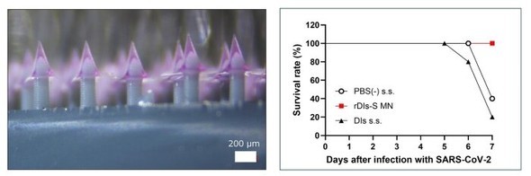 �L���v�V����