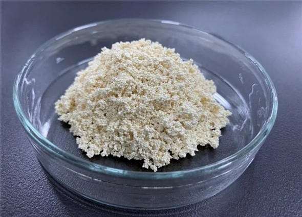 �L���v�V����