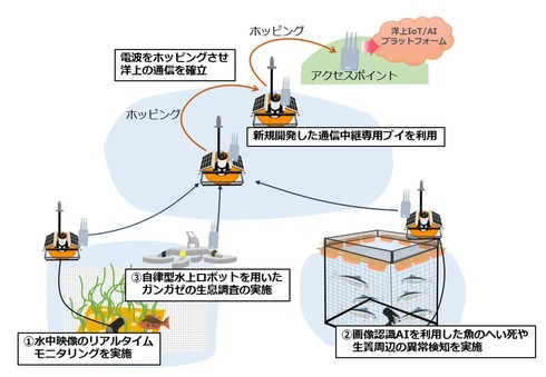 �L���v�V����