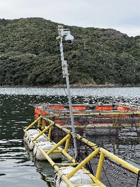 �L���v�V����