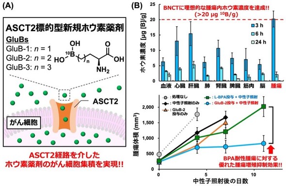 �L���v�V����