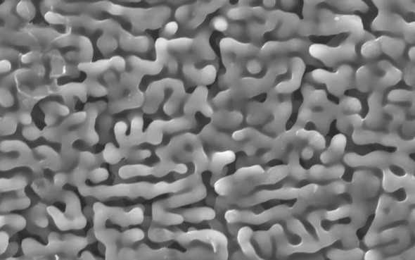 �L���v�V����