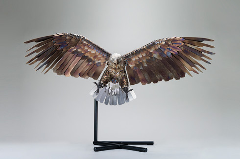 ���`�i�̕��O�����v���uStainless Eagle�v