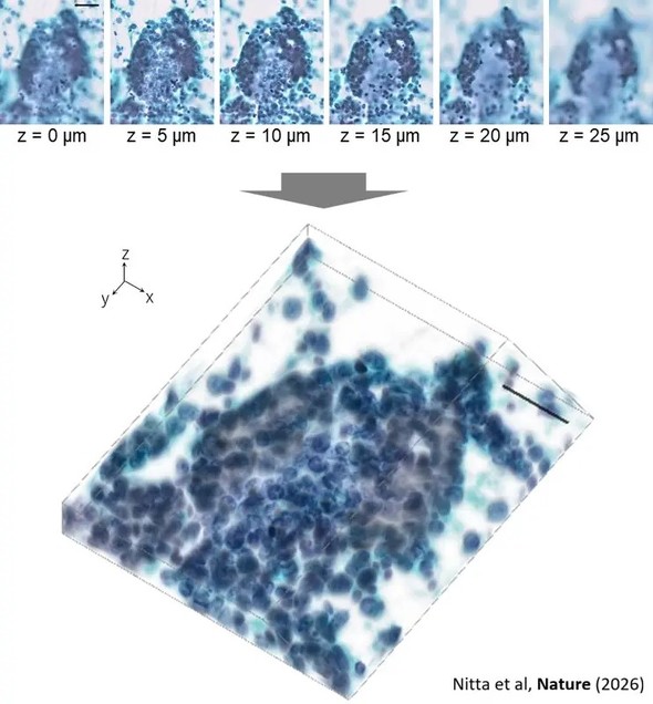 �L���v�V����