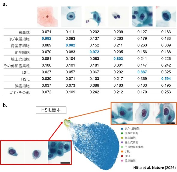 �L���v�V����