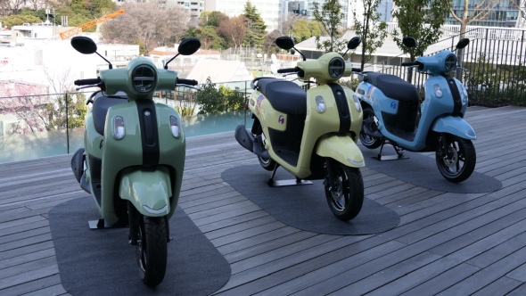 �uFazzio�v�̃J���[�o���G�[�V����