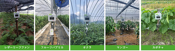 ���q���ł͌���30���e-kakashi���ғ����Ă���