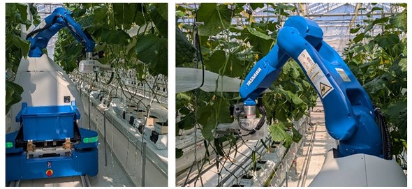 �L���v�V����