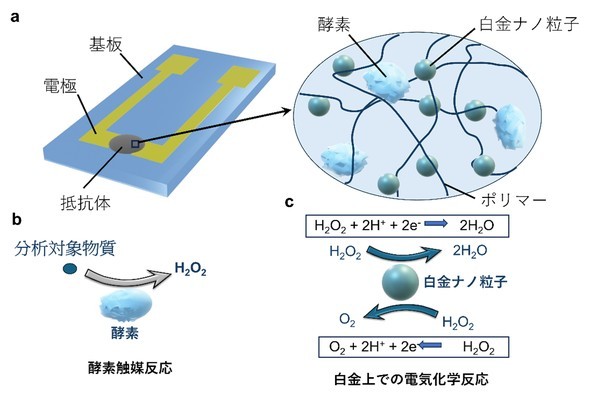 �L���v�V����