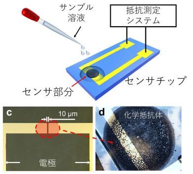 �L���v�V����