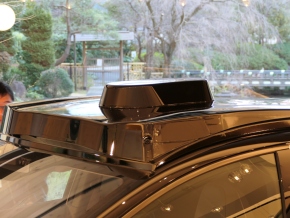 ���{�^�N�V�[�̉������C