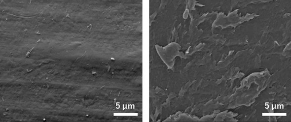 �L���v�V����